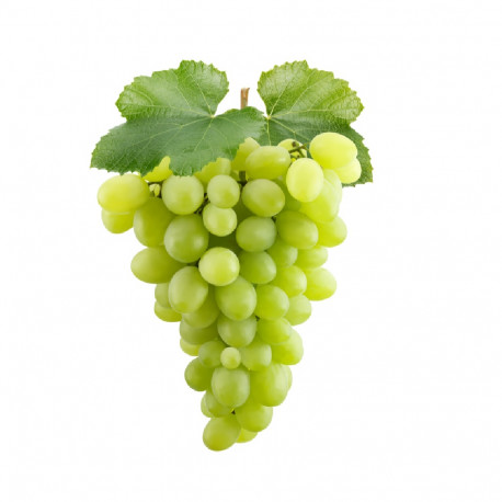 Grapes Green USA  1kg
