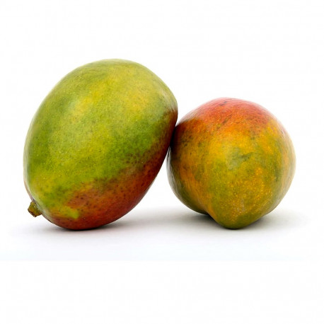 Mango Kenya